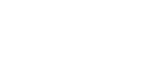 The Vogue Vizion